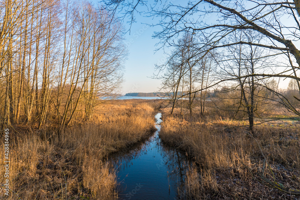 spring landscape of lake and trees