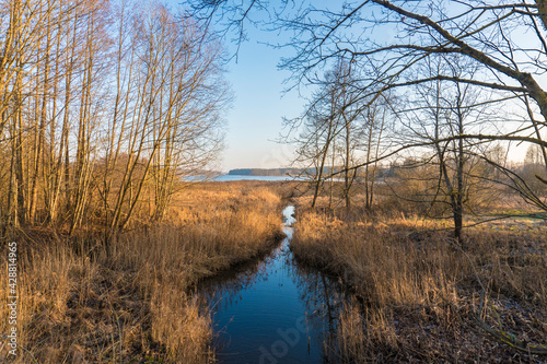 spring landscape of lake and trees