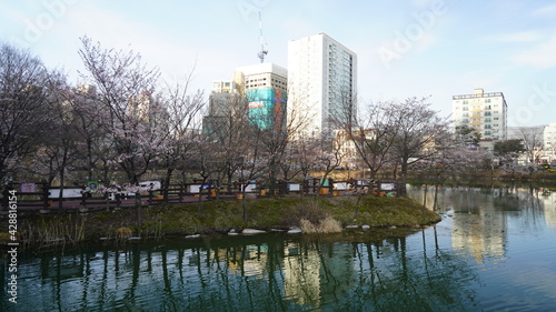 韓国 利川(Icheon)の風景