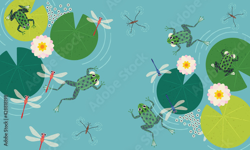 Frogs In The Pond