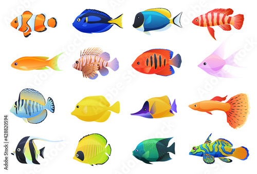 Collection of colored tropical fish on a white background. Inhabitants of coral reefs, aquarium fish.