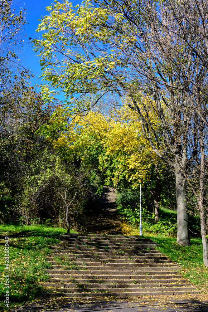 Stairs surrounded by many large green and yellow trees and grass in a sunny autumn day in Parcul Tineretului (Tineretului Park) in Bucharest, Romania . Stairs surrounded by many large green and yellow trees and grass in a sunny autumn day in Parcul Tineretului (Tineretului Park) in Bucharest, Romania .