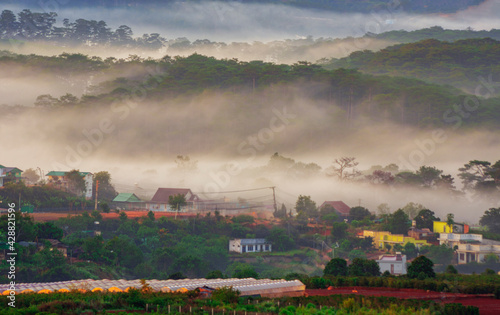 landscape with fog