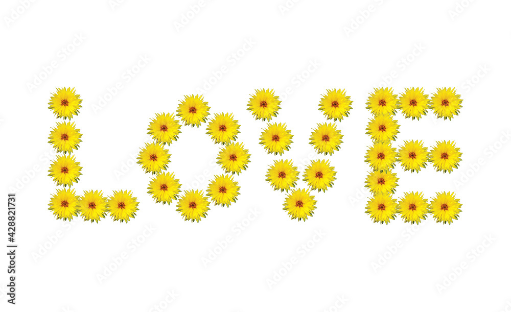 Word LOVE made of flowers. Love word made of beautiful yellow daisy flowers on white background. Wedding invitation design. Cute background. Mother's Day concept. Valentines day greeting card.