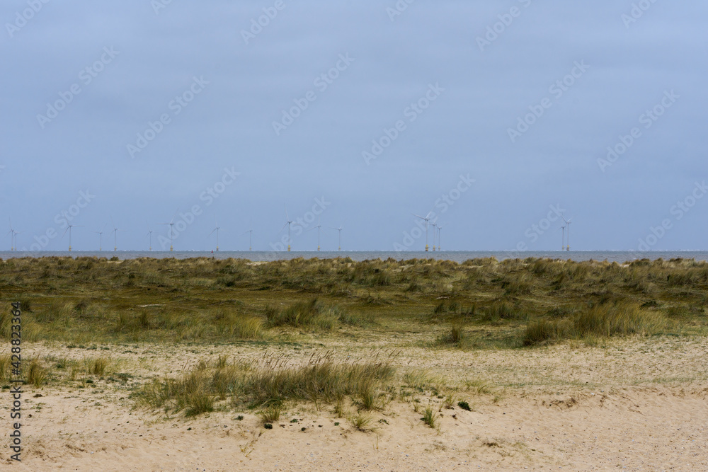 sand dunes on Grate Yarmouth beach sand dunes on Grate Yarmouth beach