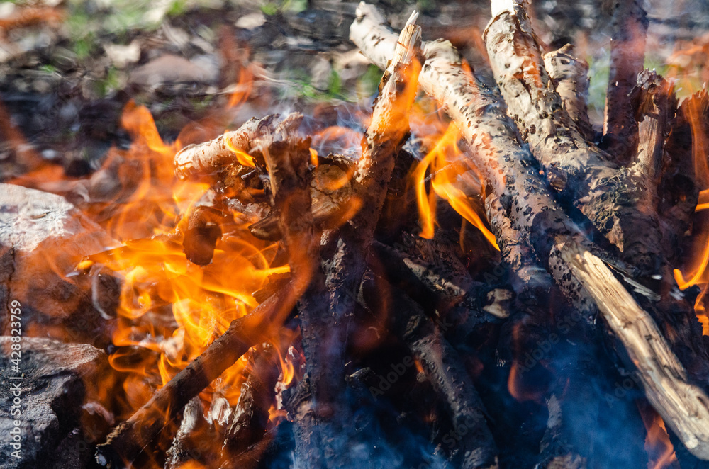 Open fire. A fire made of wooden firewood for cooking shish kebab