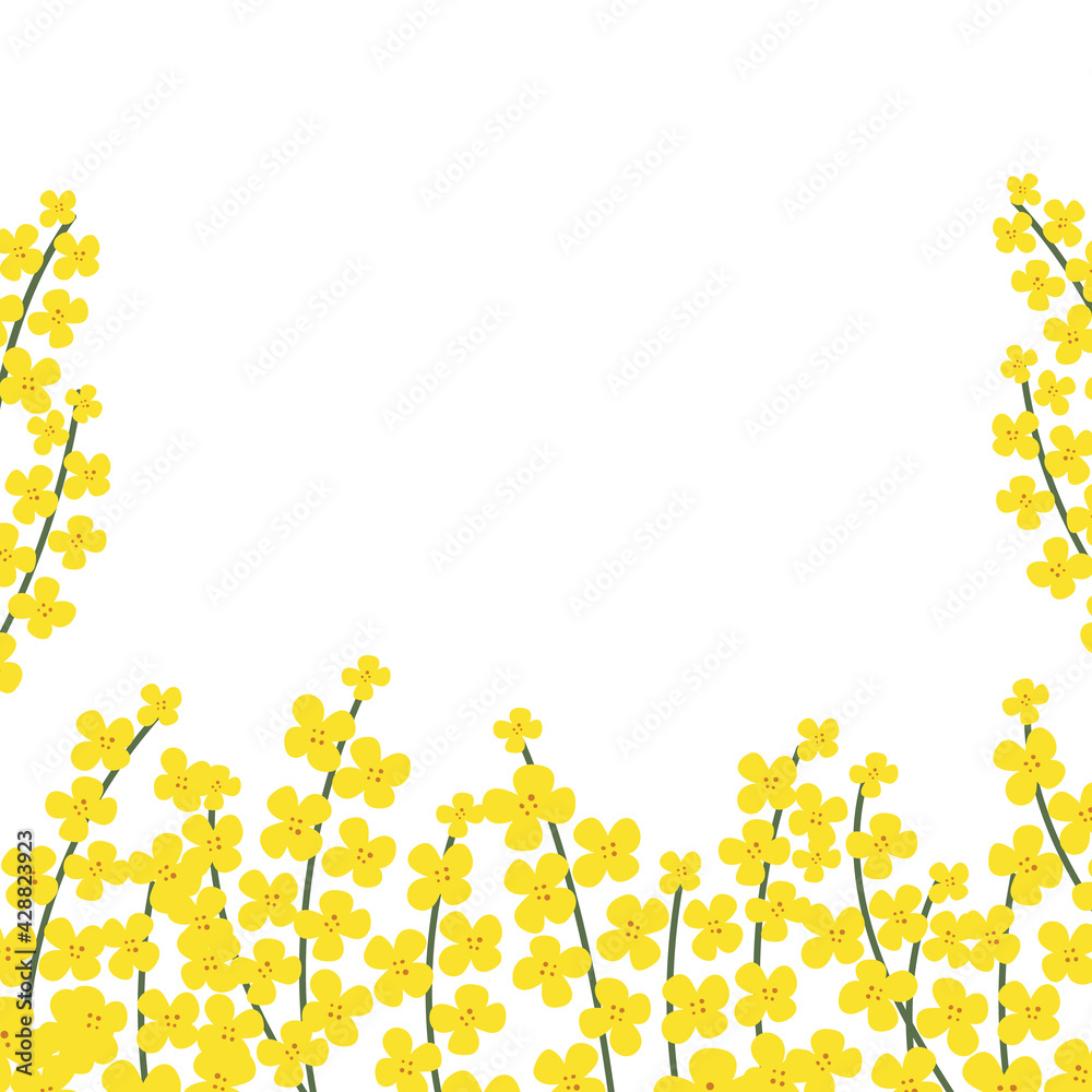 Flower square frame made of rapeseed. Hand-drawn floral border with copy space. Yellow cartoon canola branch, greeting card template, invitations, design element. All objects are isolated. Flower square frame made of rapeseed. Hand-drawn floral border with copy space. Yellow cartoon canola branch, greeting card template, invitations, design element. All objects are isolated.
