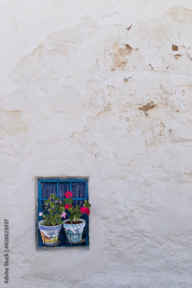 Típica ventana azul con dos macetas con flores rojas en Iznájar, Córdoba