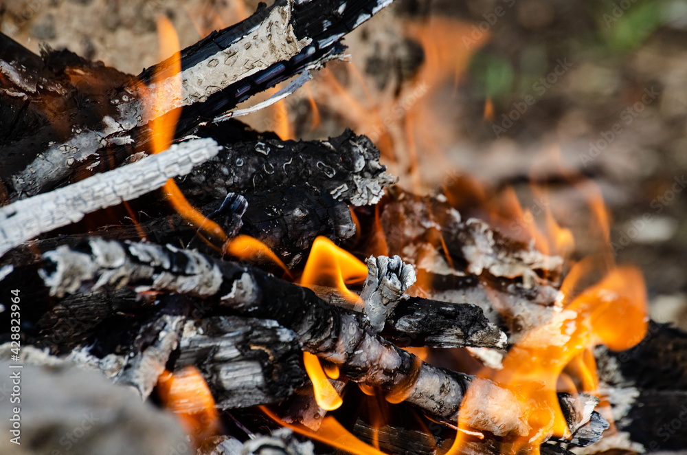 Open fire. A fire made of wooden firewood for cooking shish kebab Open fire. A fire made of wooden firewood for cooking shish kebab