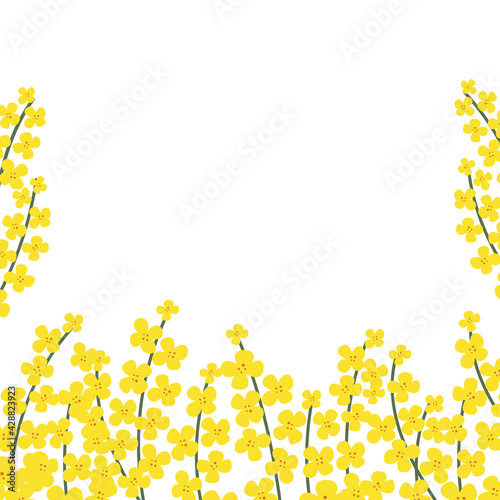 Flower square frame made of rapeseed. Hand-drawn floral border with copy space. Yellow cartoon canola branch, greeting card template, invitations, design element. All objects are isolated.