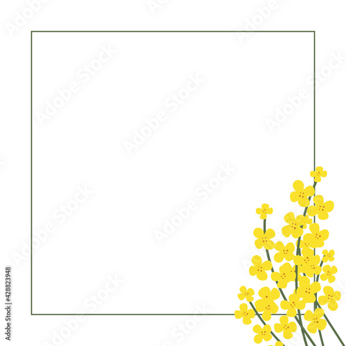 Flower square frame made of rapeseed. Hand-drawn floral border with copy space. Yellow cartoon canola branch, greeting card template, invitations, design element. All objects are isolated.