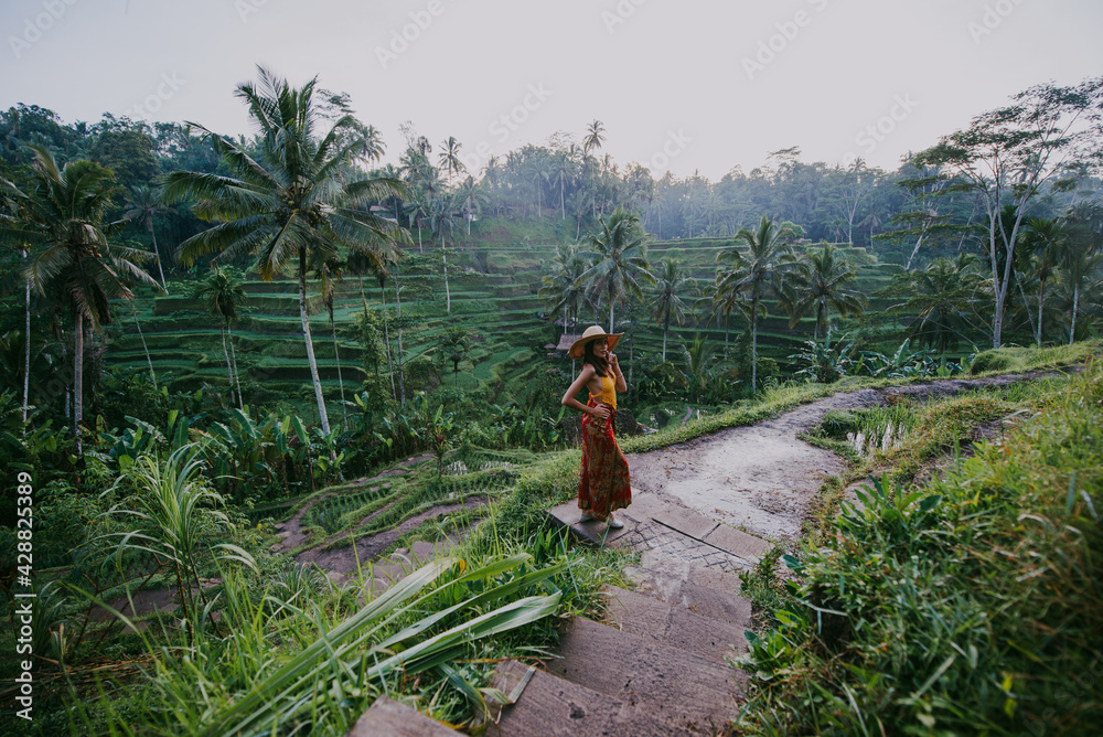 Beautiful girl visiting the Bali rice fields in tegalalang, ubud. Concept about people, wanderlust traveling and tourism lifestyle Beautiful girl visiting the Bali rice fields in tegalalang, ubud. Concept about people, wanderlust traveling and tourism lifestyle