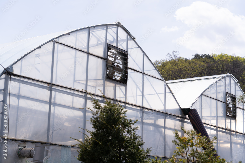 Appearance of large vinyl house with built-in automated facilities for smart agriculture Appearance of large vinyl house with built-in automated facilities for smart agriculture