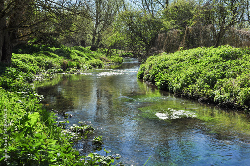 Chalk Stream near Hitchin, North Hertfordshire