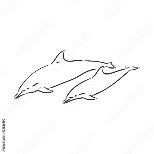 simple dolphin silhouette. dolphin, vector sketch on a white background © Elala 9161