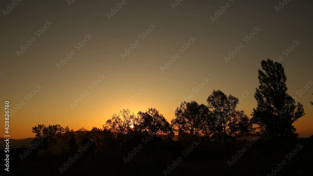 Time lapse of lonely tree, sky and clouds  in sunset