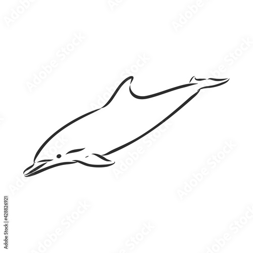 simple dolphin silhouette. dolphin, vector sketch on a white background
