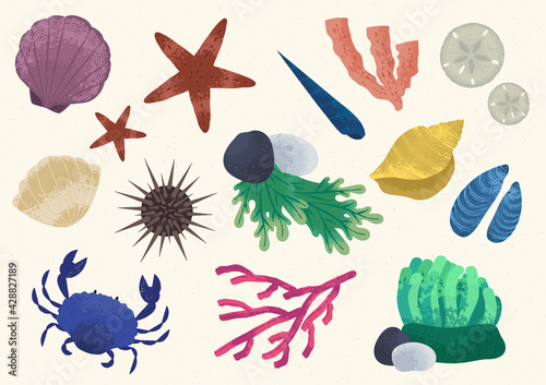 Tide Pools Icon Set