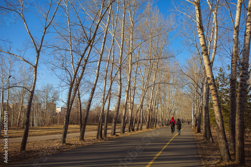 Walking in the spring city park