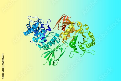 Crystal structure of alpha-galactosidase enzyme that causes Fabry disease. Ribbons diagram in rainbow colors. Scientific background. 3d illustration photo