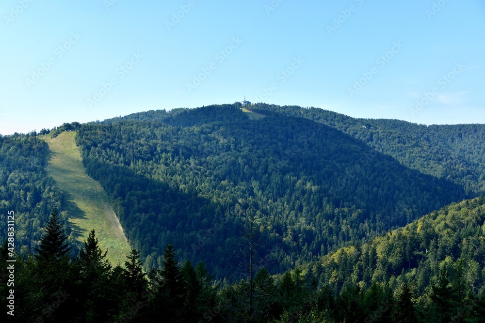 góra Jaworzyna Krynicka widziana z wieży w Krynicy Zdrój, dzielnica Słotwiny