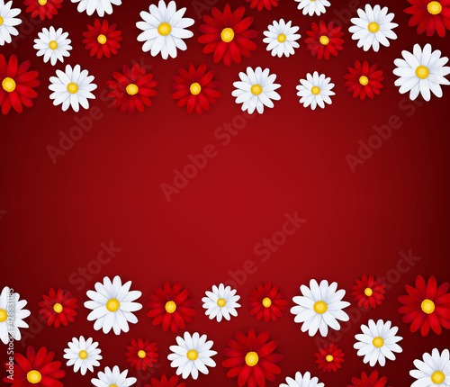 Spring or summer banner template. White and red realistic daisy flowers. Floral design wallpaper. Vector illustration.