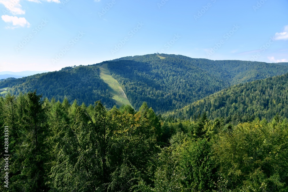 Obraz premium góra Jaworzyna Krynicka, Krynica Zdrój, Słotwiny
