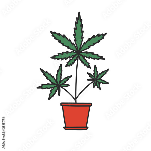 marijuana plant doodle icon, vector color illustration