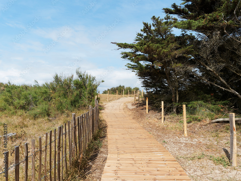 Île de Ré dans le Golfe de Gascogne en France. Accès au littoral et plages de la pointe rocheuse Saint-Clément-des-Baleines Île de Ré dans le Golfe de Gascogne en France. Accès au littoral et plages de la pointe rocheuse Saint-Clément-des-Baleines