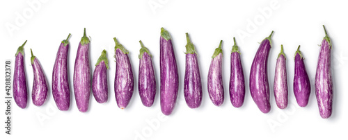 Fresh raw organic purple mini eggplants in a row isolated on white background 