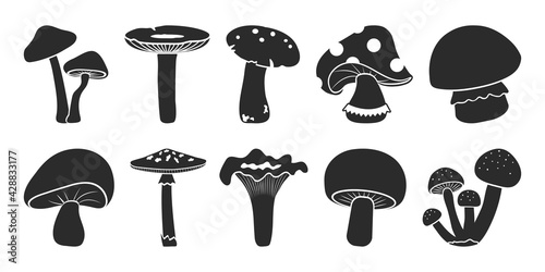 Cartoon vector mushrooms clipart, doodle icon set. Black silhouettes isolated on white background. Nature illustration