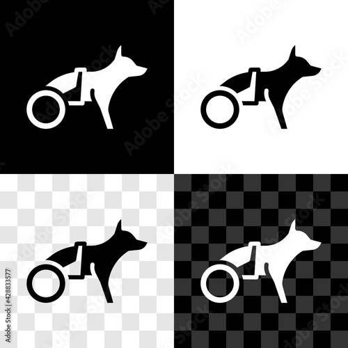 Set Paralyzed dog in wheelchair icon isolated on black and white, transparent background. Vector