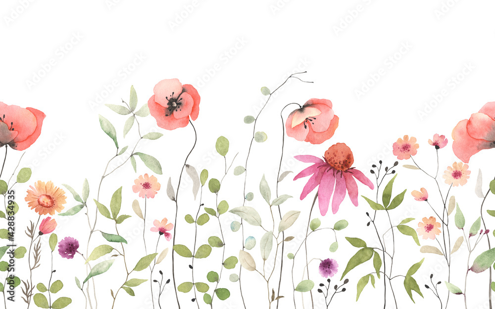Delicate red poppies, wildflowers and green plants, floral horizontal seamless pattern. Watercolor isolated illustration on white background, summer border, flowers wallpapers, template for banner.