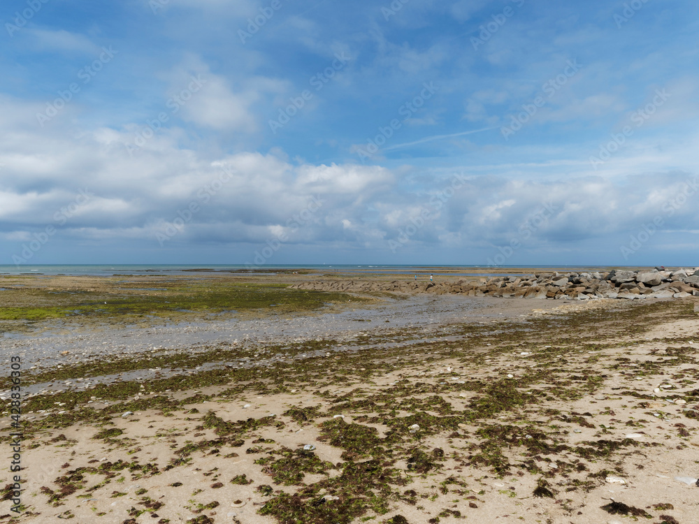 Île de Ré dans le Golfe de Gascogne. Dunes, plages et sables entre la pointe rocheuse Saint-Clément-des-Baleines et Ars-en-Ré