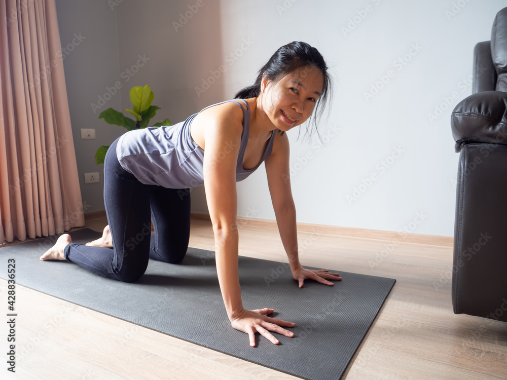 tabletop all fours yoga pose asian woman home workout fitness body weight exercise pilates health training sport healthy lifestyle activity wellness care on mat indoors natural light selective focus tabletop all fours yoga pose asian woman home workout fitness body weight exercise pilates health training sport healthy lifestyle activity wellness care on mat indoors natural light selective focus