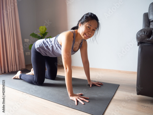 tabletop all fours yoga pose asian woman home workout fitness body weight exercise pilates health training sport healthy lifestyle activity wellness care on mat indoors natural light selective focus
