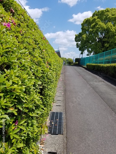 長い道