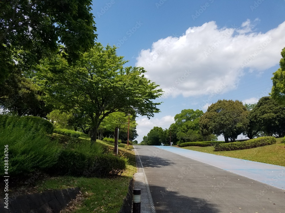 自然が豊かないつもの道 自然が豊かないつもの道