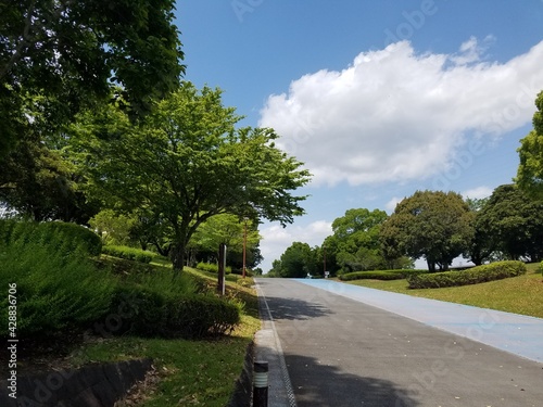 自然が豊かないつもの道