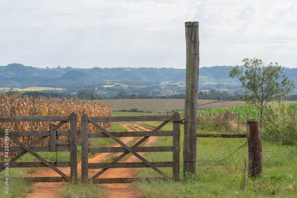 Wooden gate of rural property and in the background a cornfield