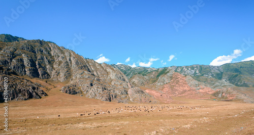 Landscape of the Altai Mountains in the autumn day.