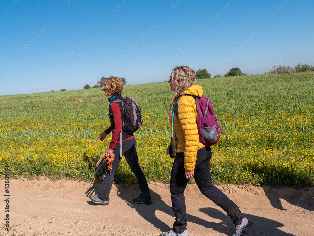 WOMEN WITH HIKING CLOTHES AND BACKPACKS, GIVING A WALK THROUGH THE COUNTRYSIDE OF TOLEDO, SPAIN WOMEN WITH HIKING CLOTHES AND BACKPACKS, GIVING A WALK THROUGH THE COUNTRYSIDE OF TOLEDO, SPAIN