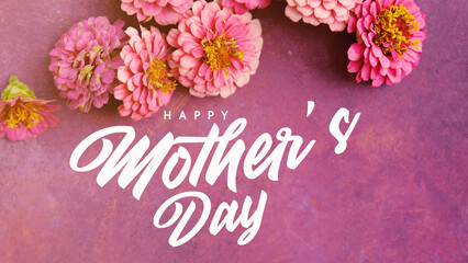 happy mothers day card with pink zinnia flowers on purple background for holiday banner.