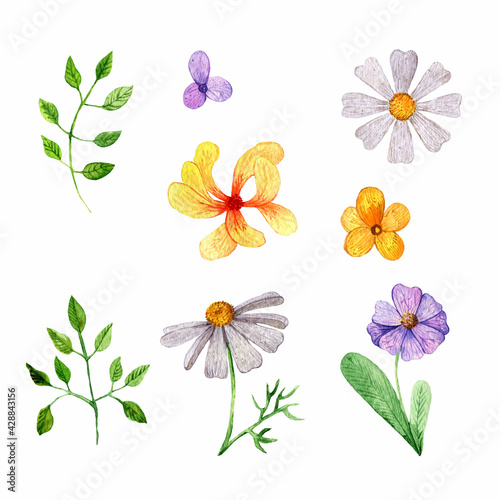 Simple watercolor flowers for various decorations. Hand-drawn and isolated on white background.