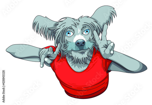 Chien cool avec des couettes