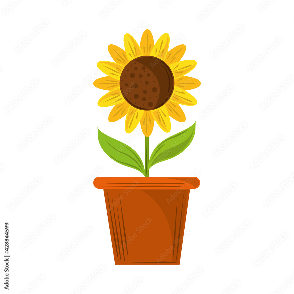 Obraz premium potted sunflower decoration