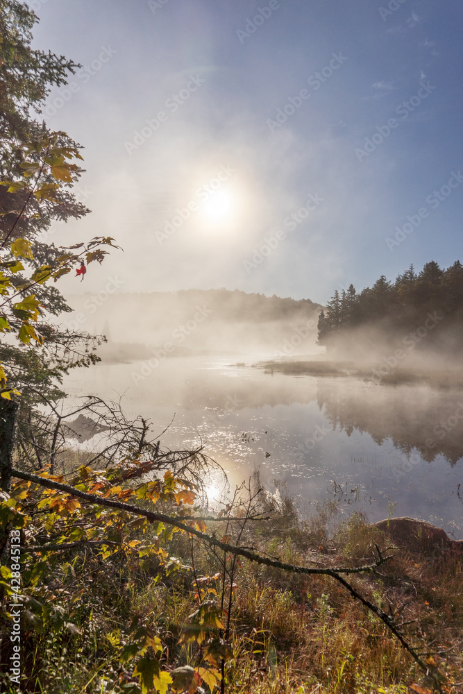 Sun is reflected in the water on foggy morning. Mystical landscape