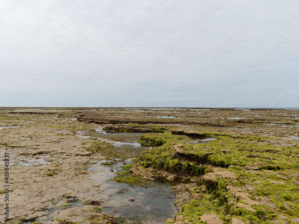 Île de Ré dans le Golfe de Gascogne. Littoral sauvage à marée basse le long de la pointe rocheuse Saint-Clément-des-Baleines face à l'Atlantique