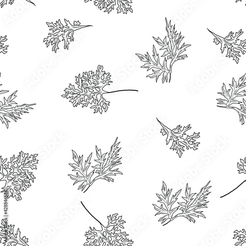 Sagebrush plant foliage on the seamless texture, pattern with sagebrush herbs photo