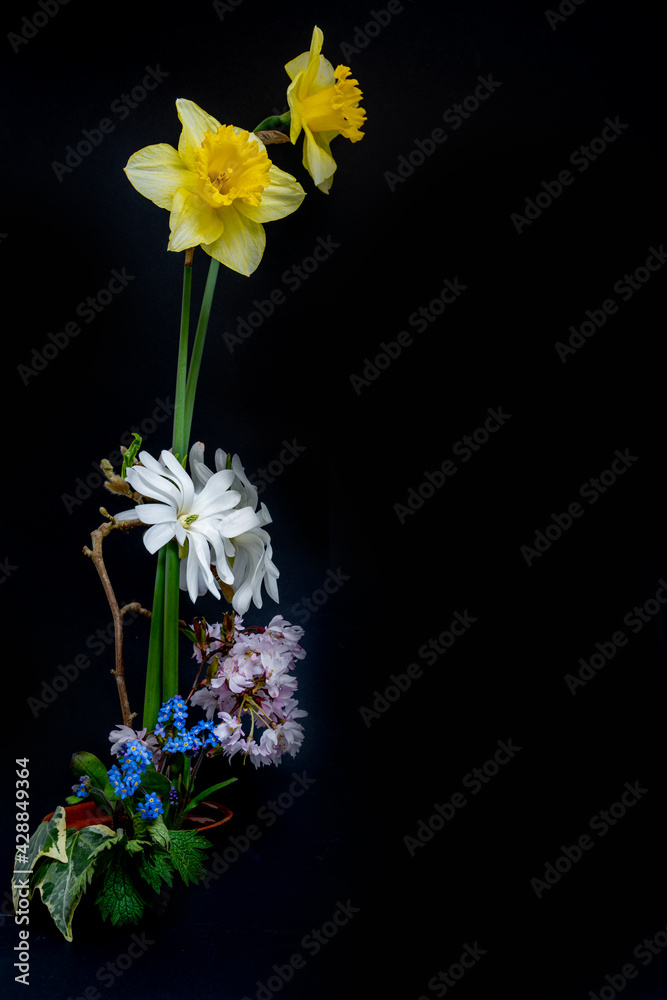 Stylish spring flower arrangement on a black background